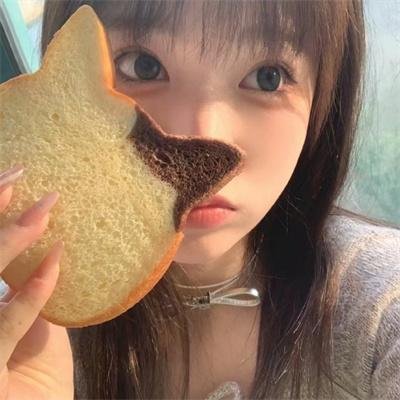 女总裁的反击